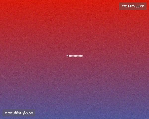 23款大众途锐改装丹拿音响